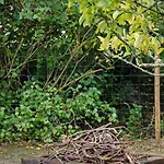 2702-romo-drosselvej-13 Hébergement de vacances